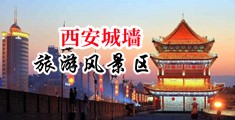 美女骚穴被叉免费视频中国陕西-西安城墙旅游风景区